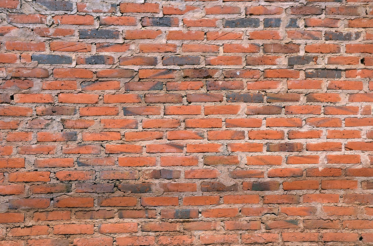 wall bricks common free photo