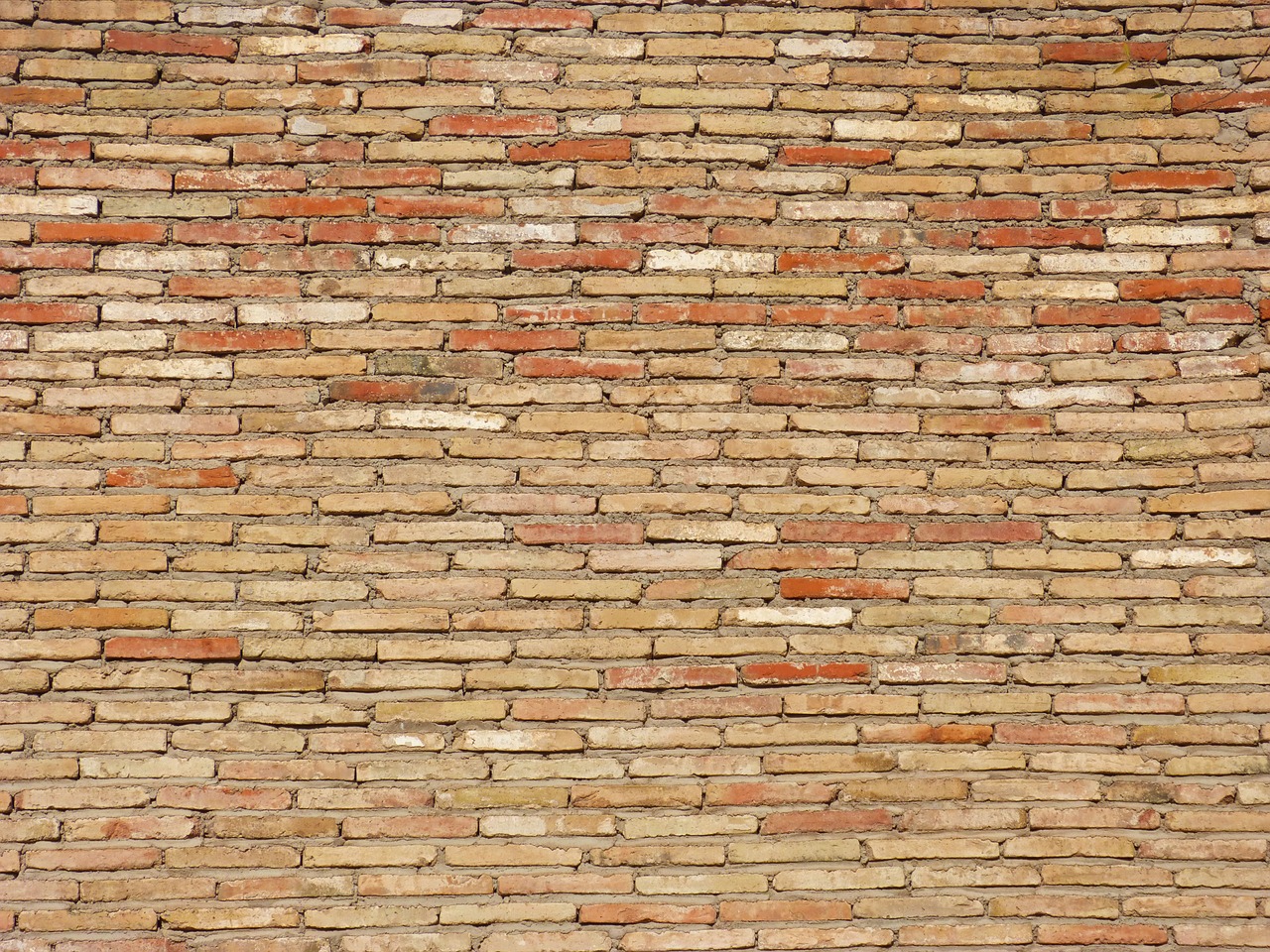 wall bricks background free photo