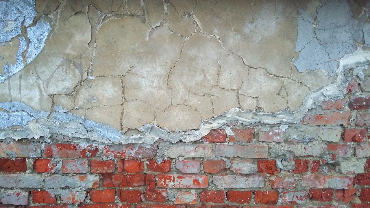 wall bricks ošarpaná free photo