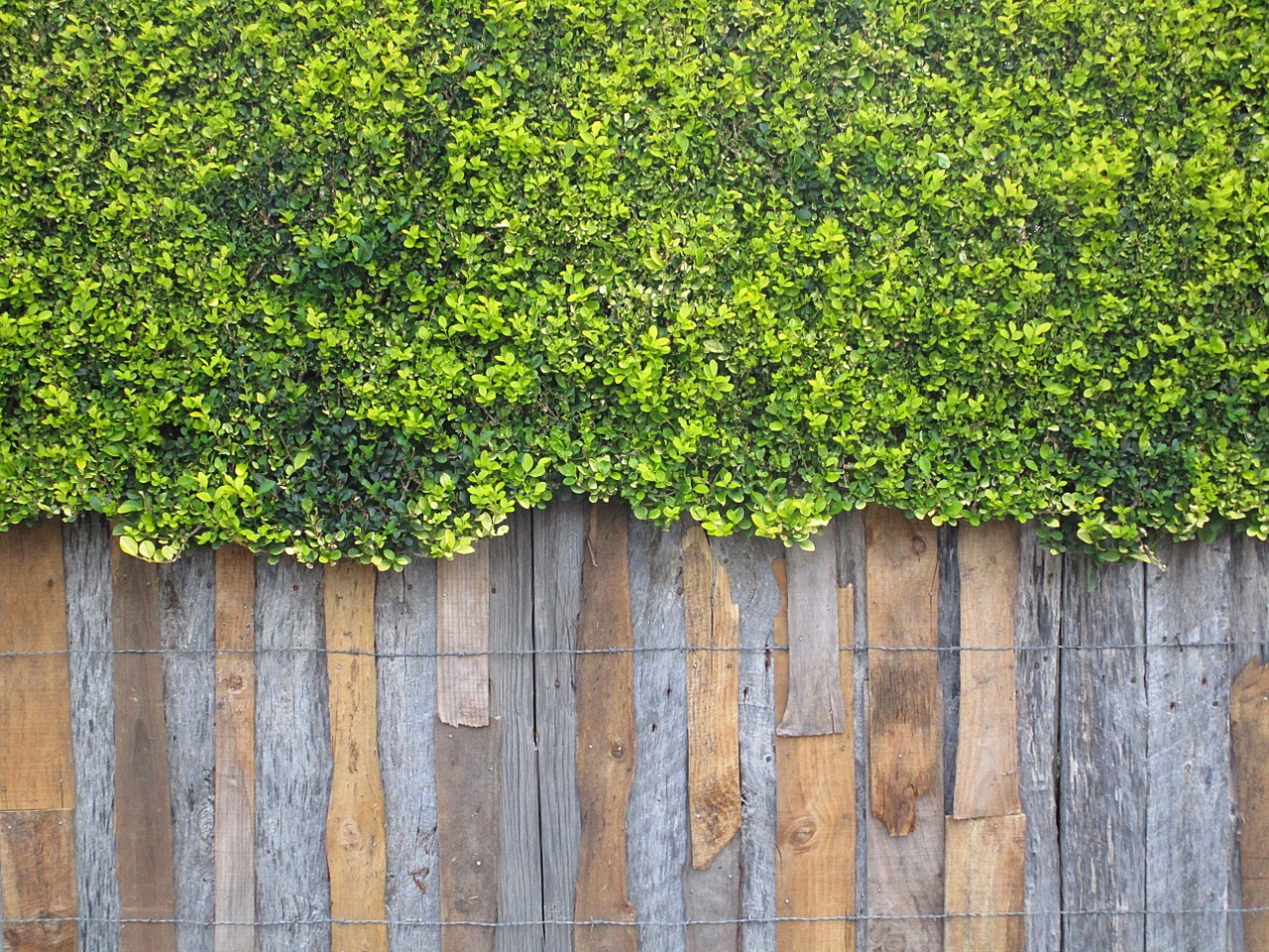 wall wooden wall rustic free photo