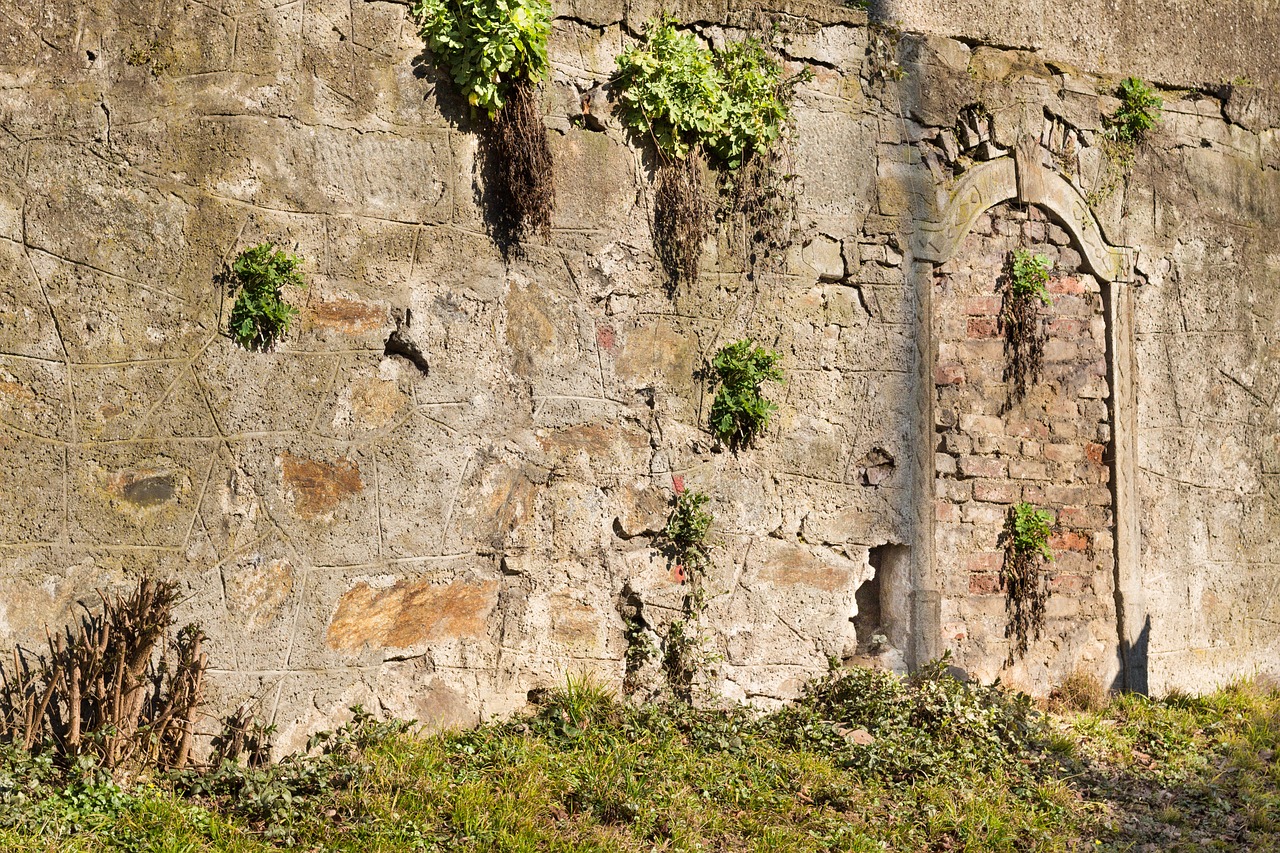 wall antique old free photo