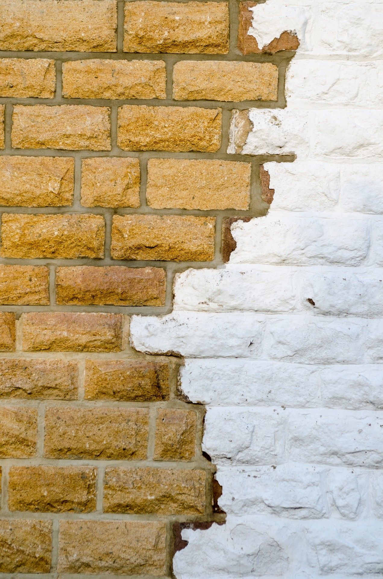 wall brick background free photo