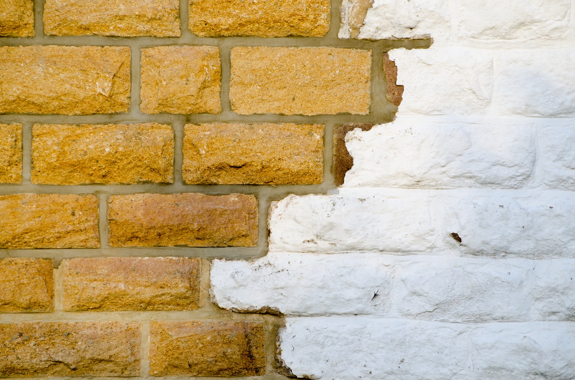 wall brick background free photo