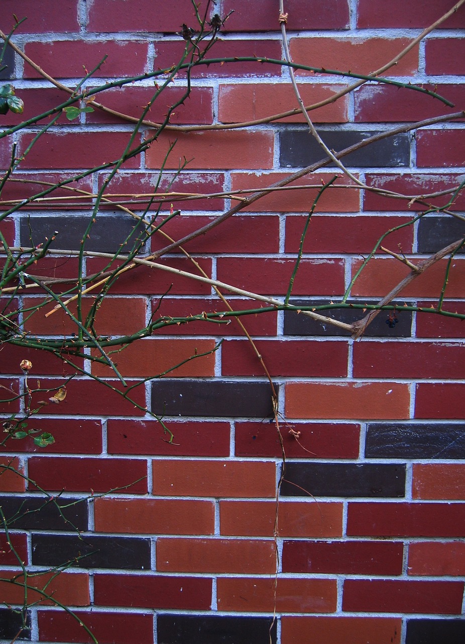 wall stones stone wall free photo