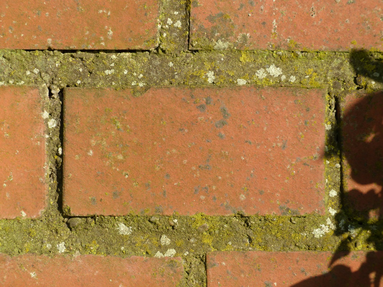 wall brick brick wall free photo