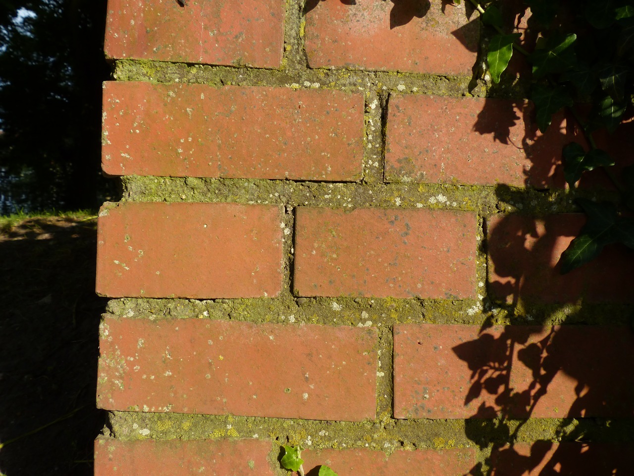 wall brick brick wall free photo