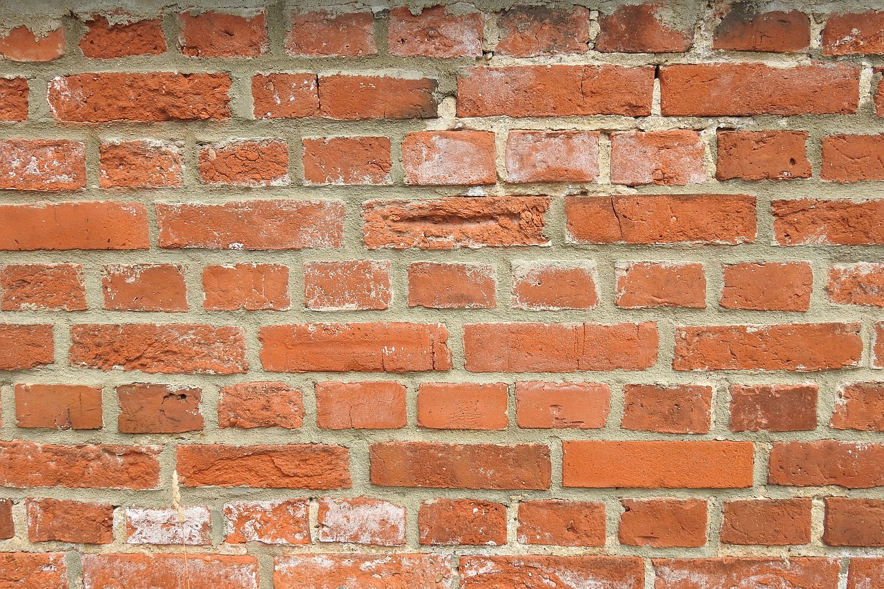 wall bricks red free photo