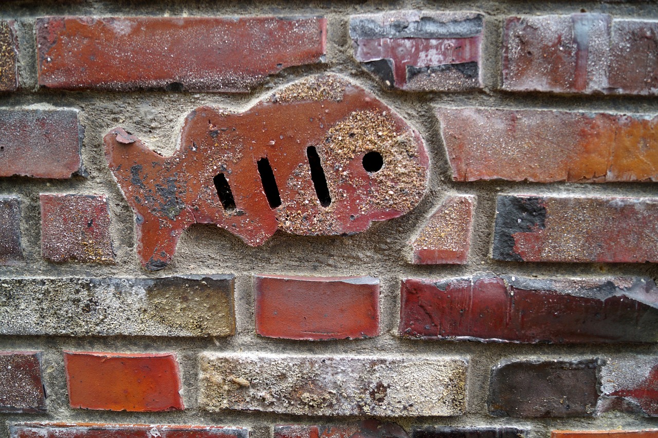 wall stones fish free photo