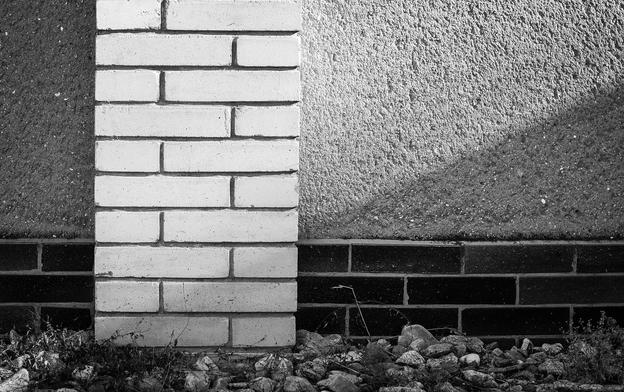 wall bricks light free photo