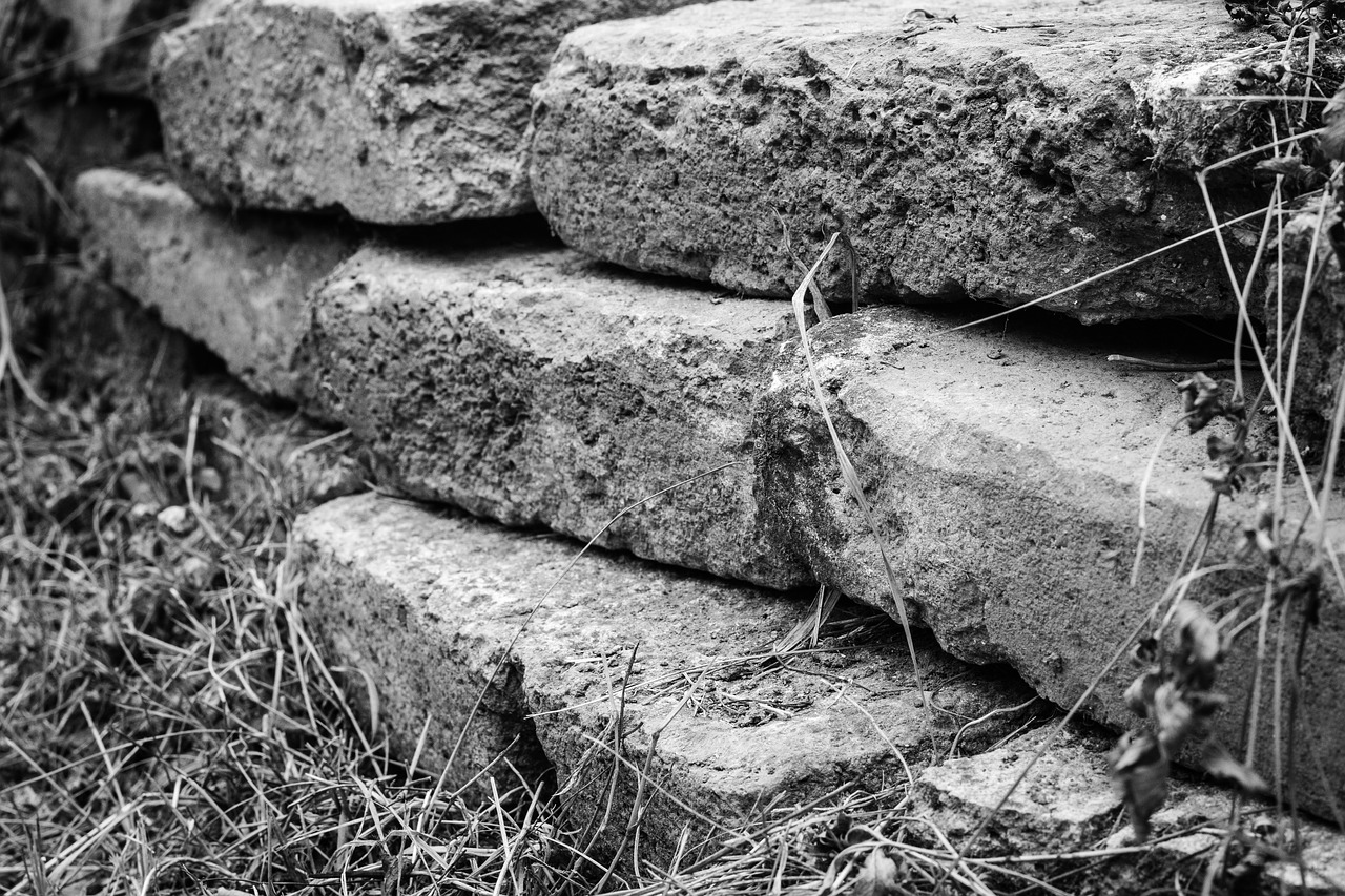 wall bricks obstacle free photo