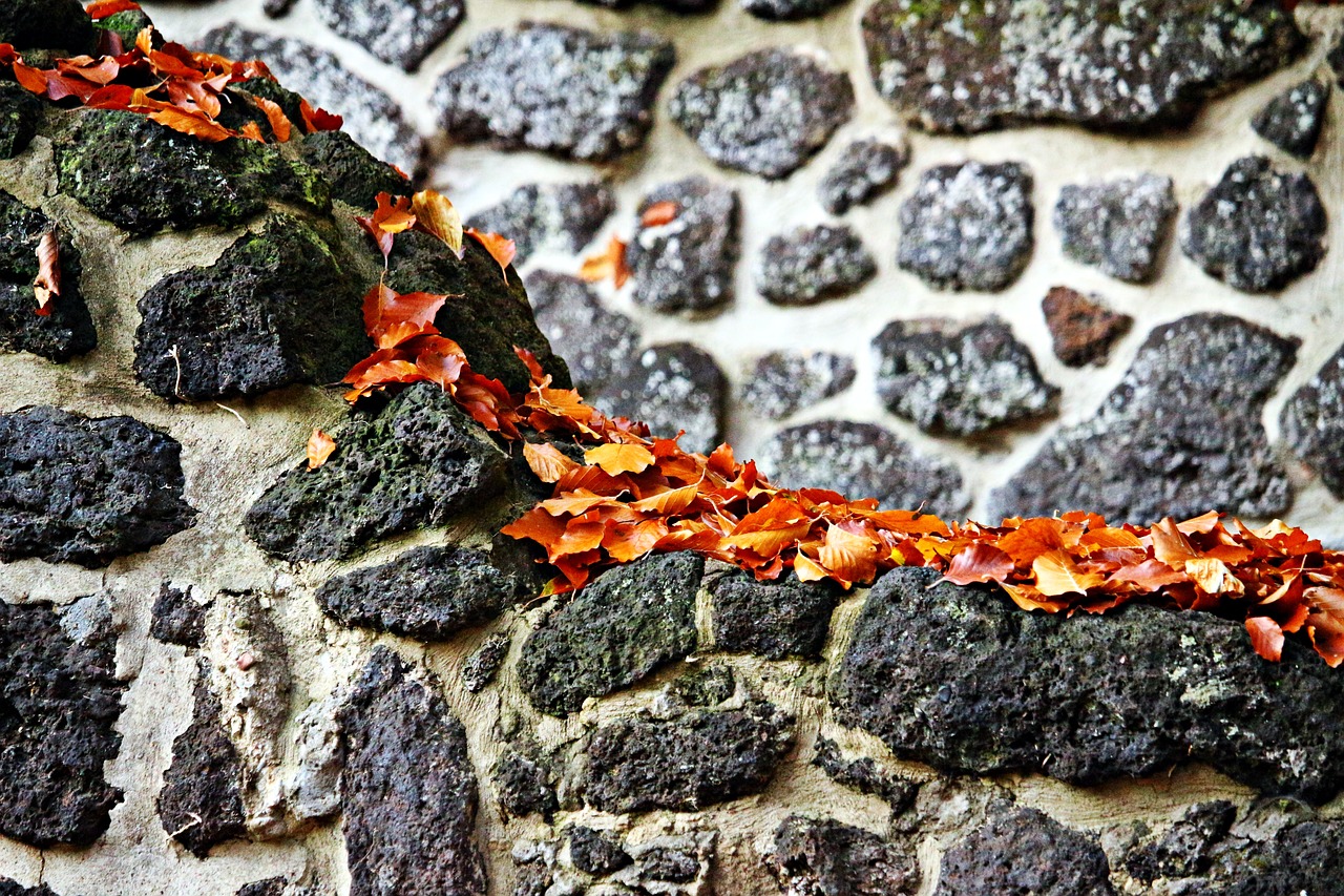 wall feilenmoos clumping stone free photo