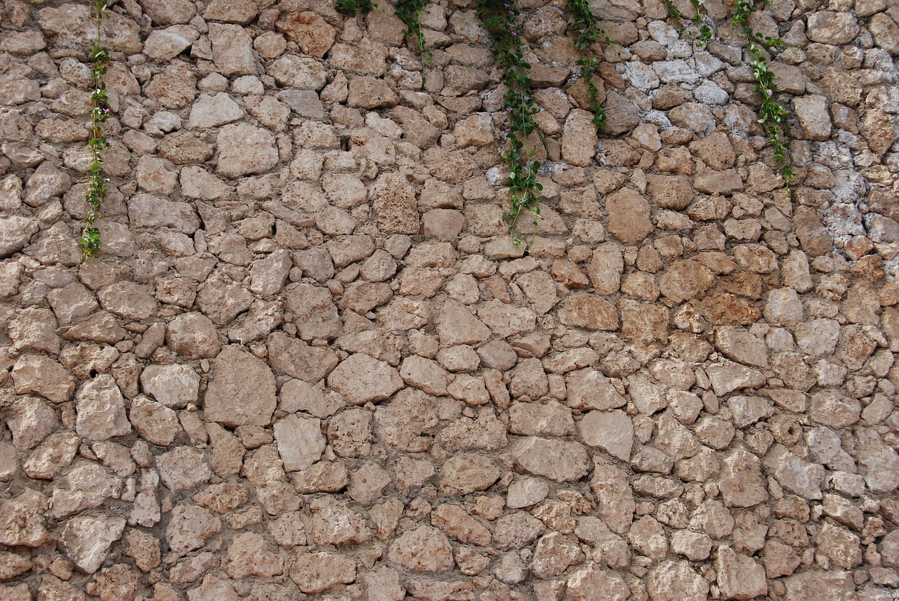 wall stones plants free photo