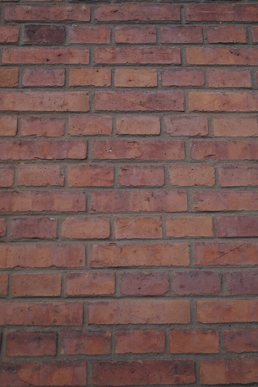 wall stone wall bricks free photo