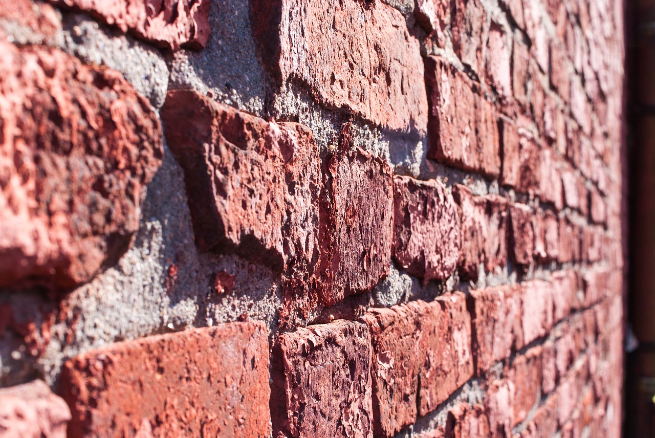 wall bricks back light free photo