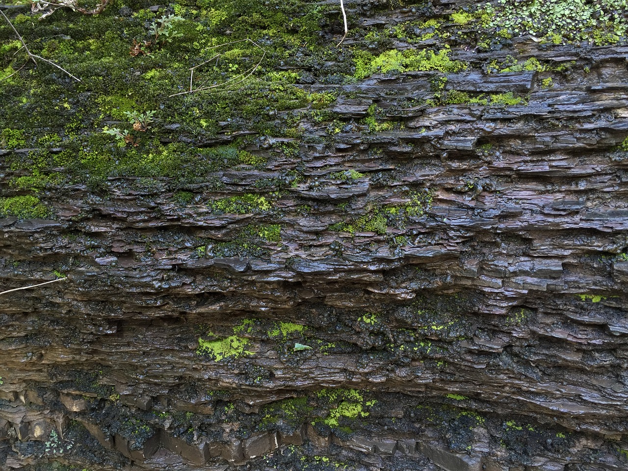 wall brick wall ancient times free photo