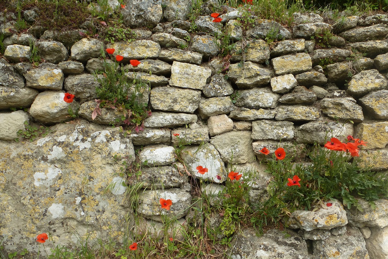 wall stones brick wall free photo