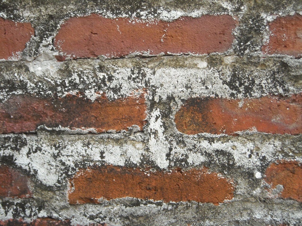 wall brick cement free photo