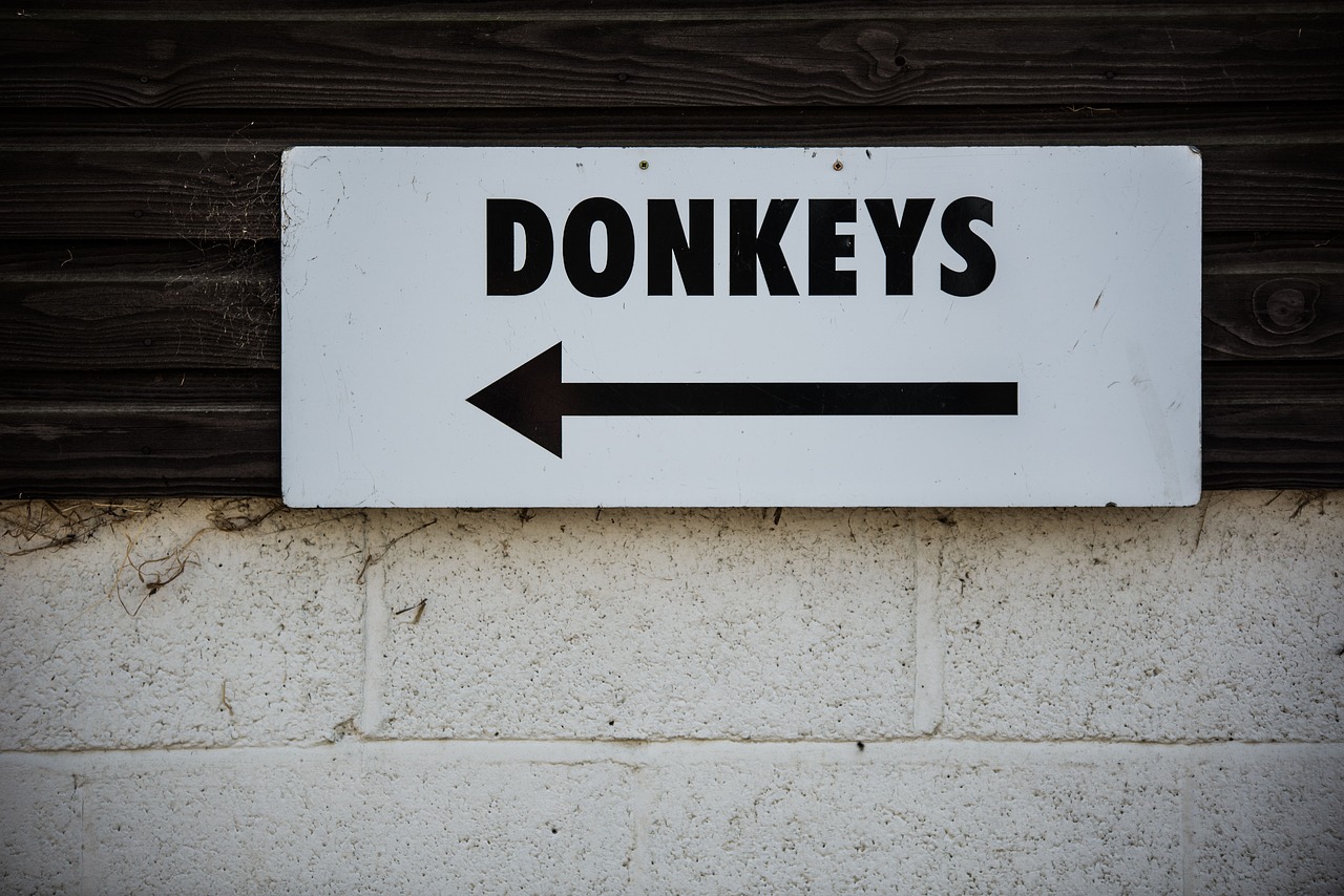 wall sign donkeys free photo