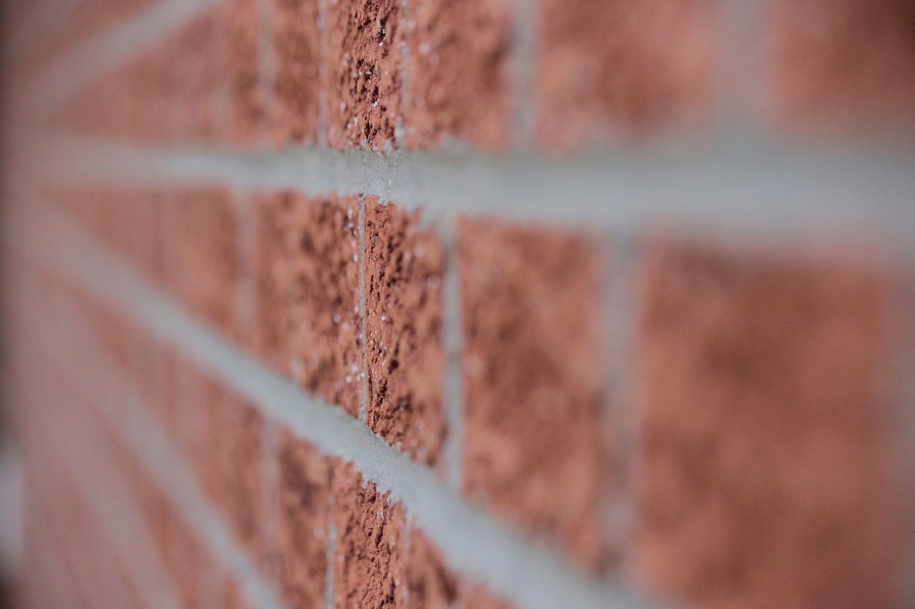 wall bricks lines free photo