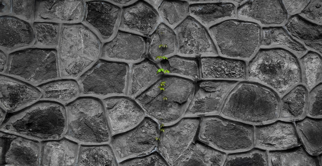 wall texture black and white free photo