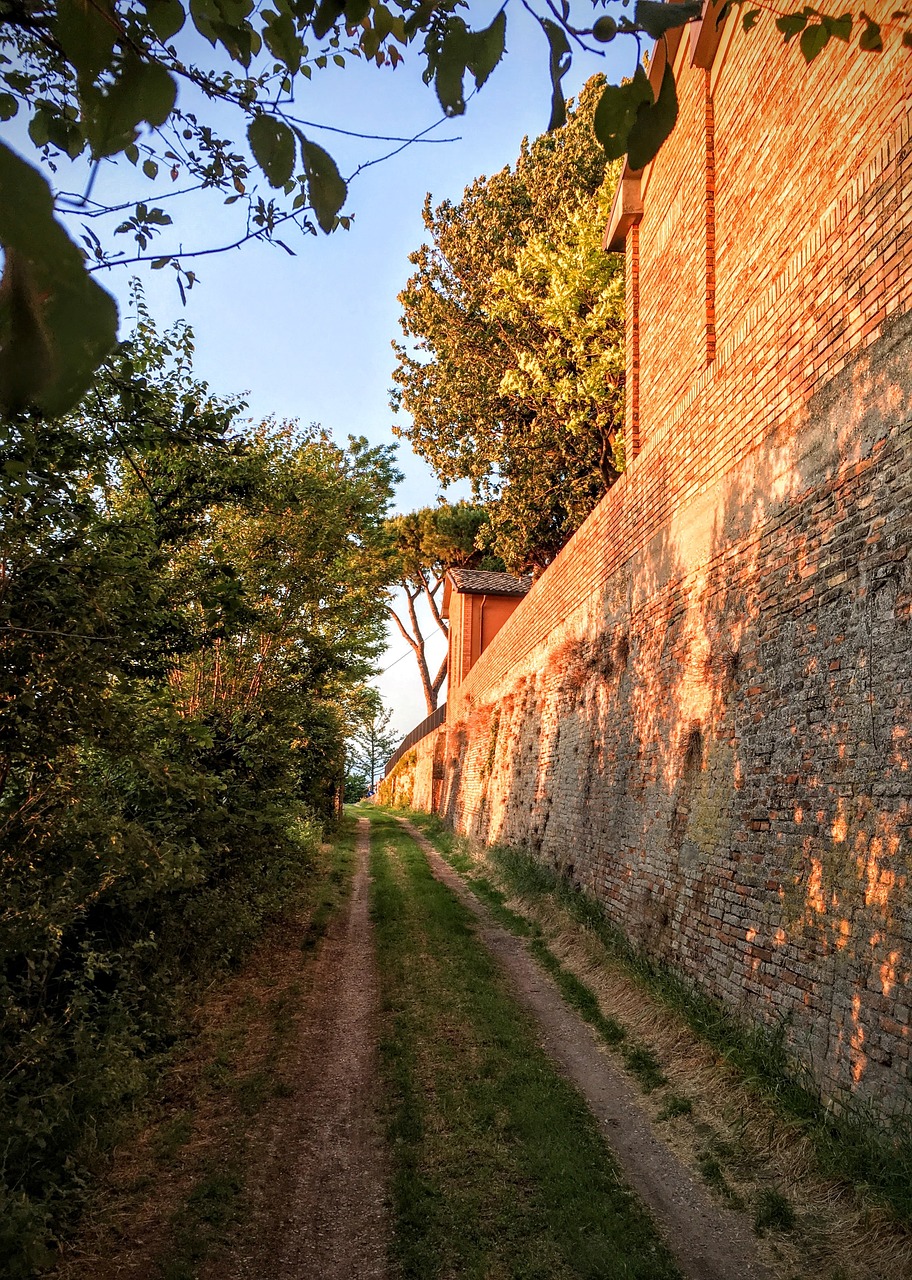 wall building green free photo