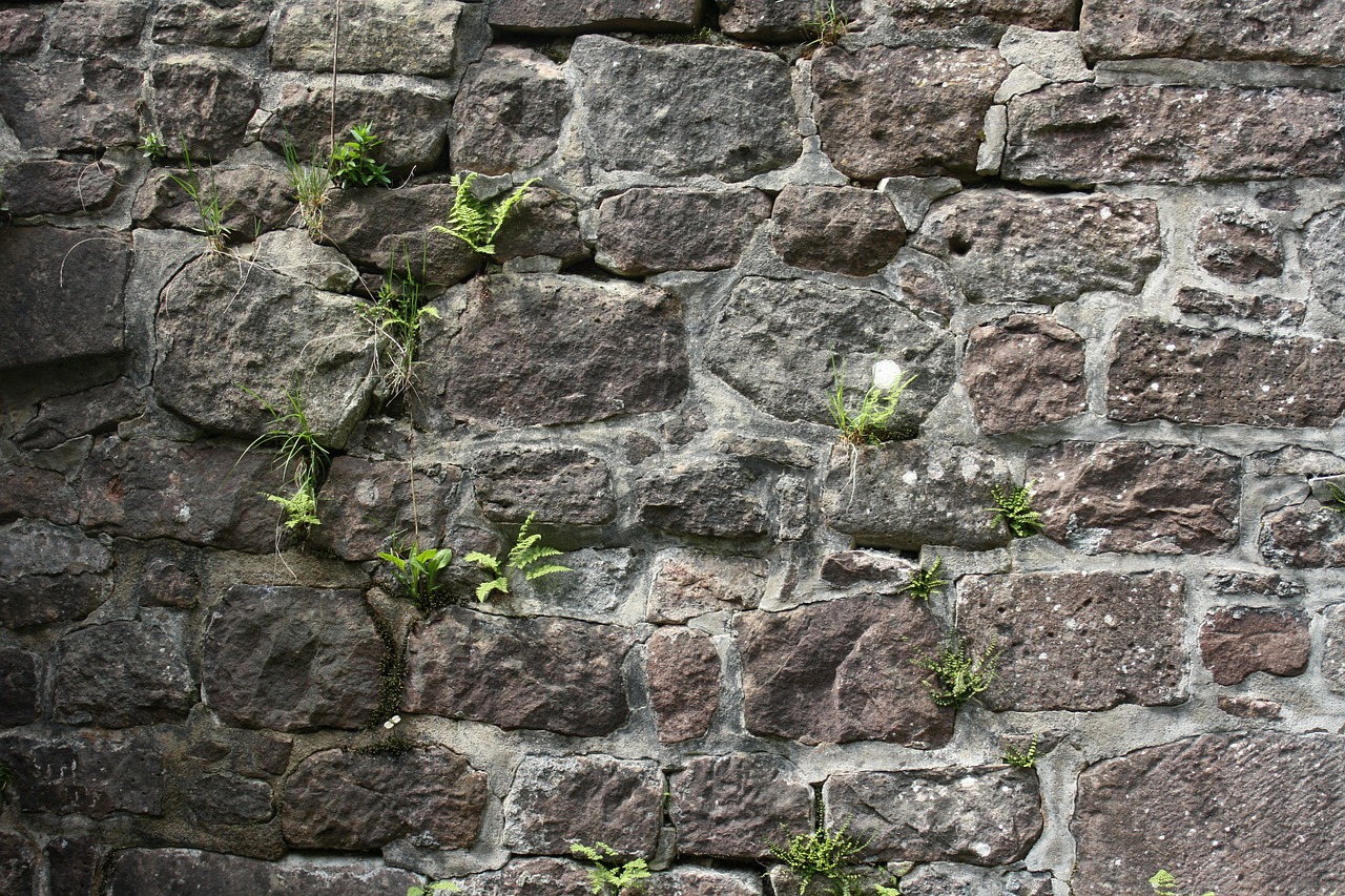 wall natural stone old free photo