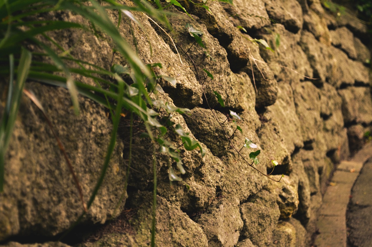 wall stones pattern free photo