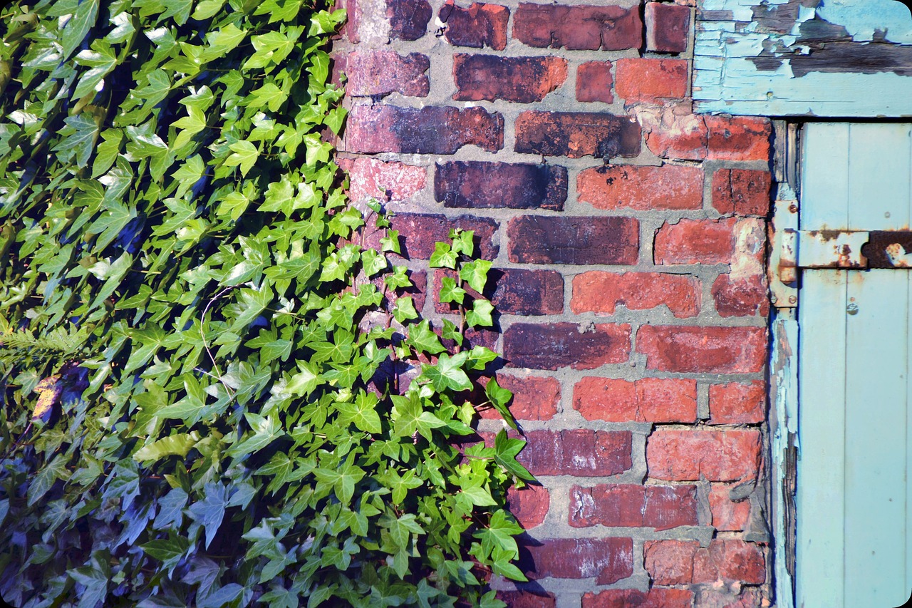 wall brick brick wall free photo