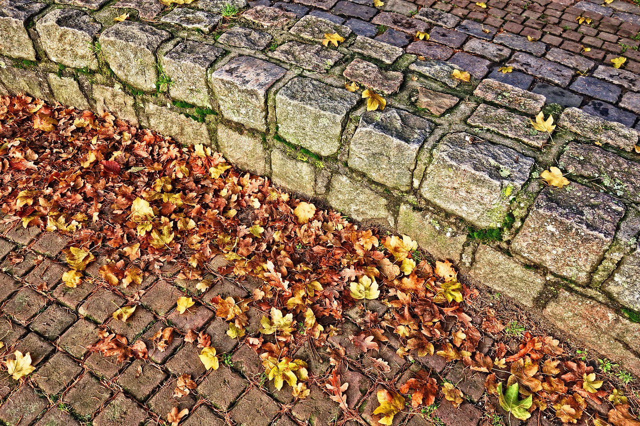 wall stone curved wall free photo