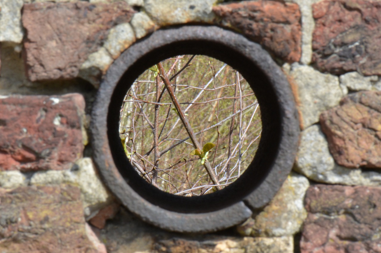 wall bricks opening free photo