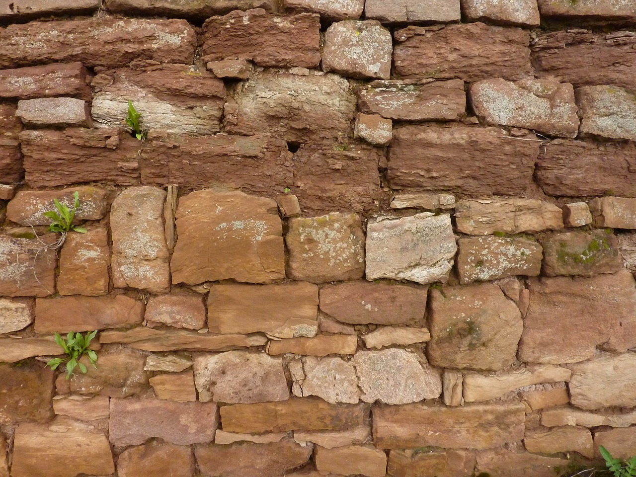 wall stone natural stone free photo