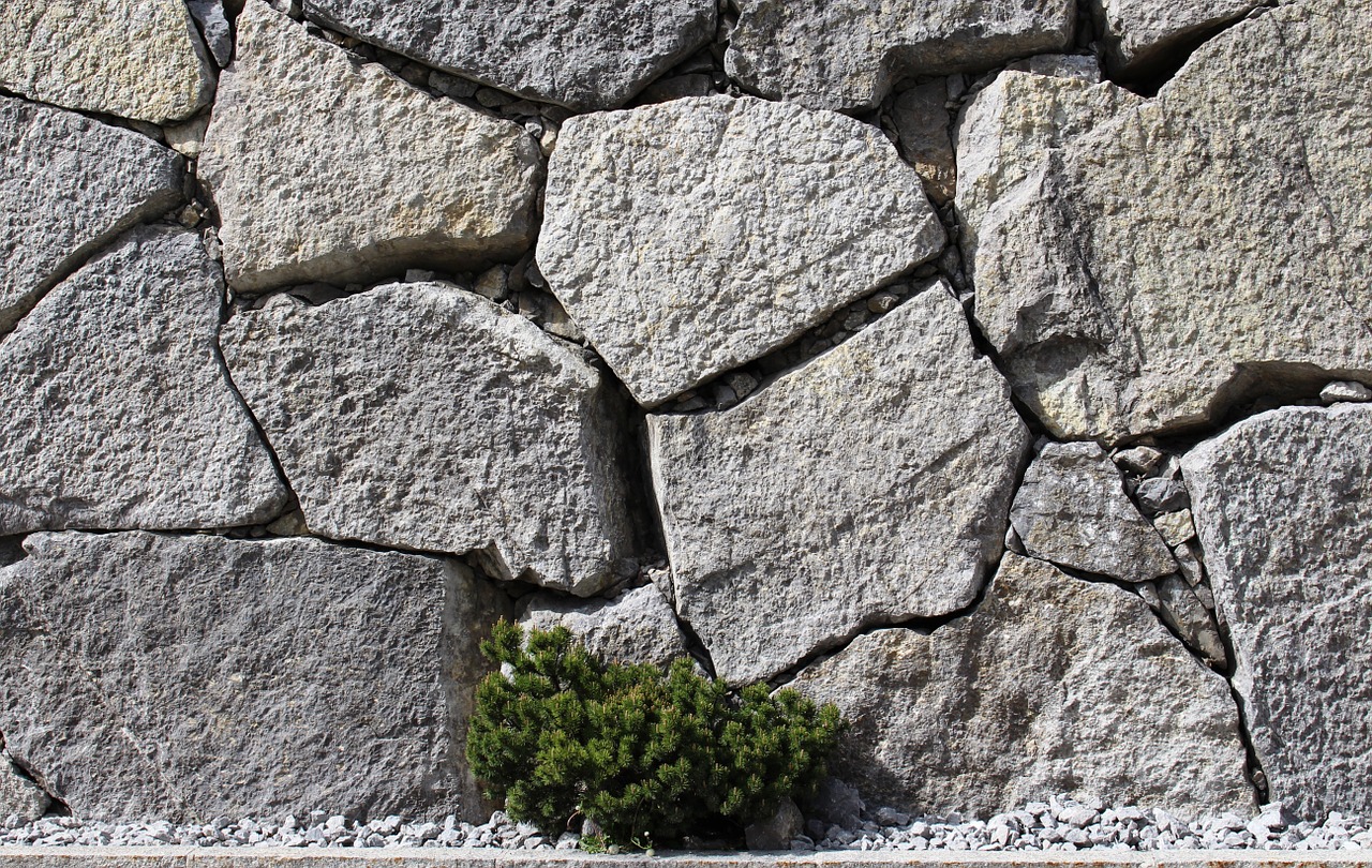 wall stones fouling free photo