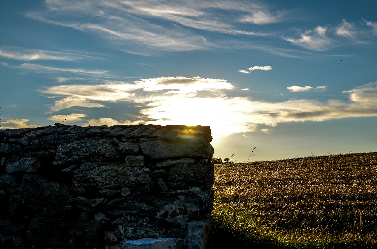 wall field sun free photo