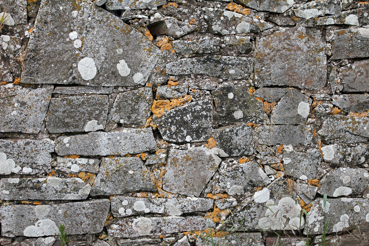 wall  stone  rustic free photo