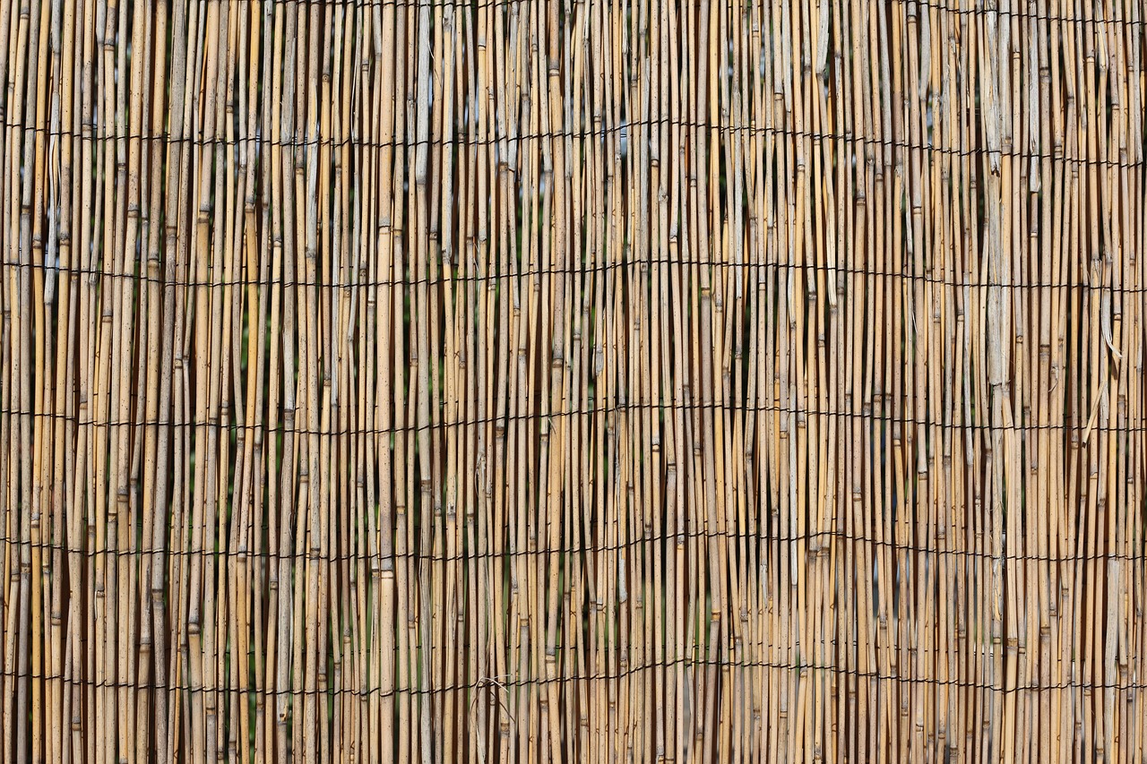 Обои тростник камыш бамбук в интерьере