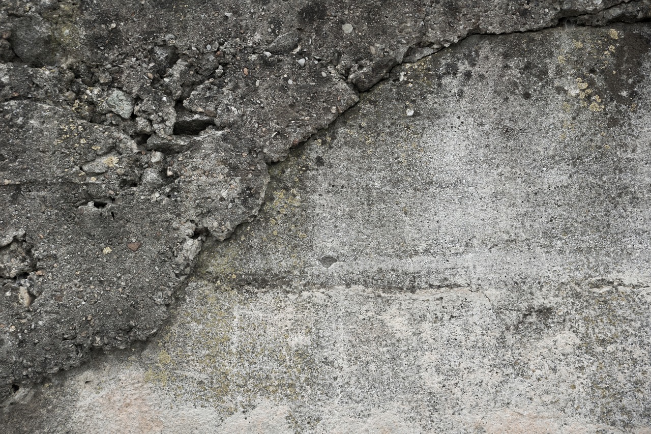 wall concrete brittle free photo