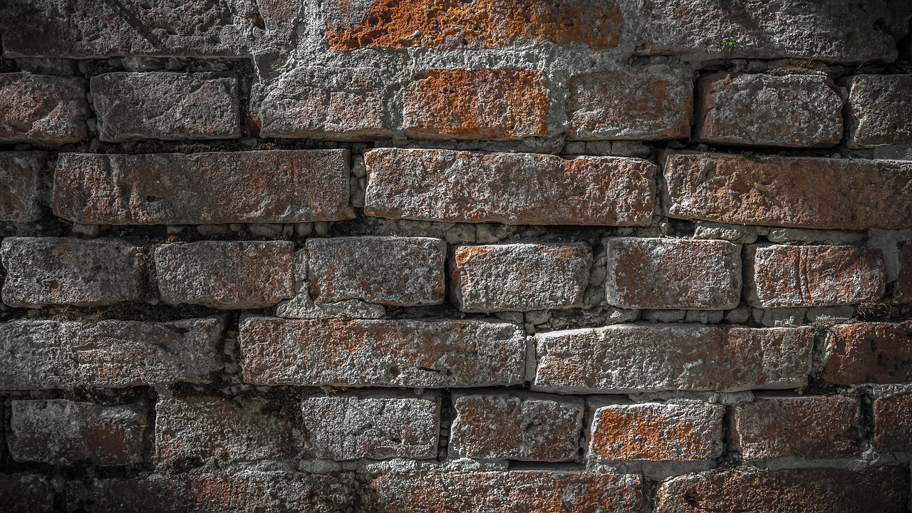 wall  background  structure free photo