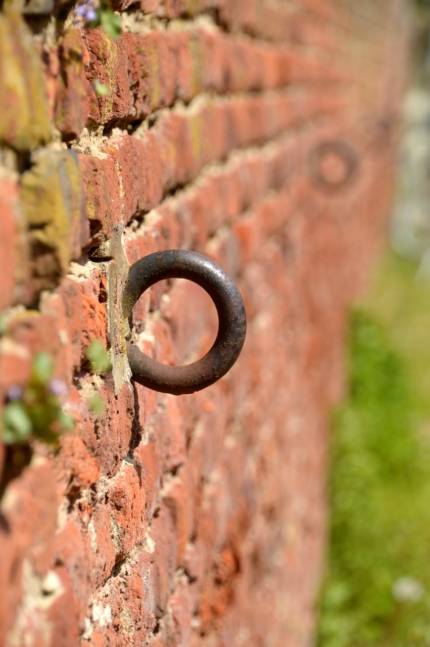 wall  brick  œillet free photo