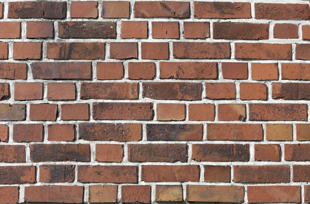 wall  bricks  texture free photo