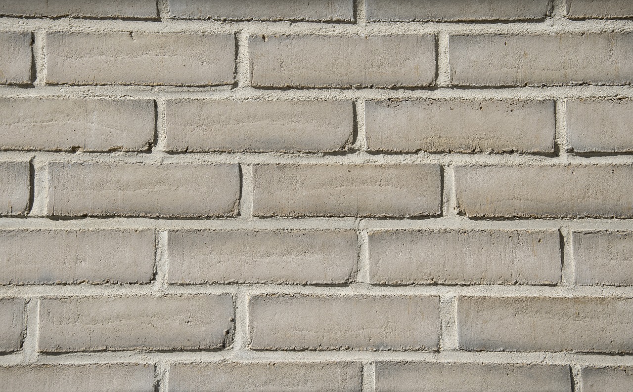 wall  bricks  texture free photo