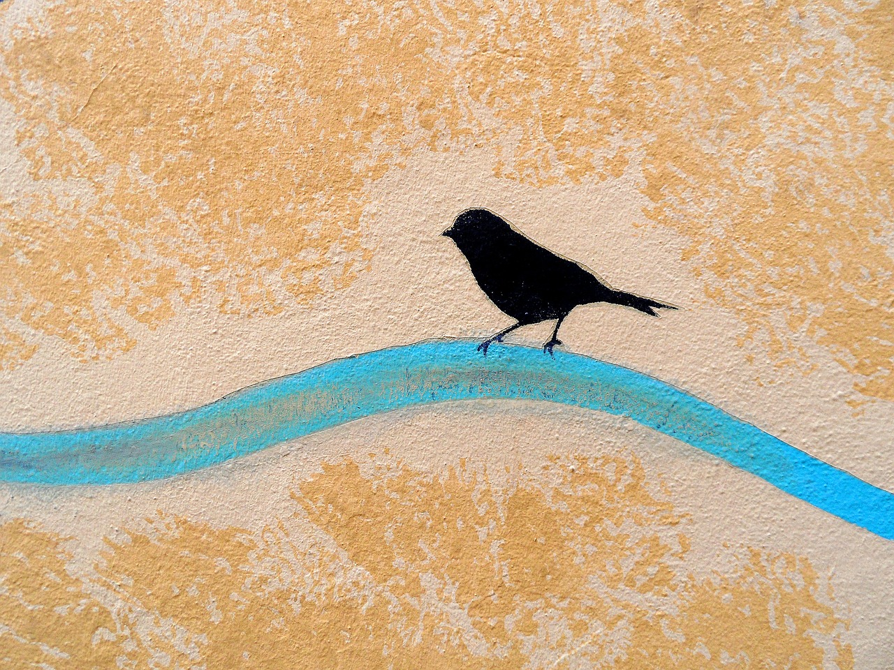wall bird padova free photo