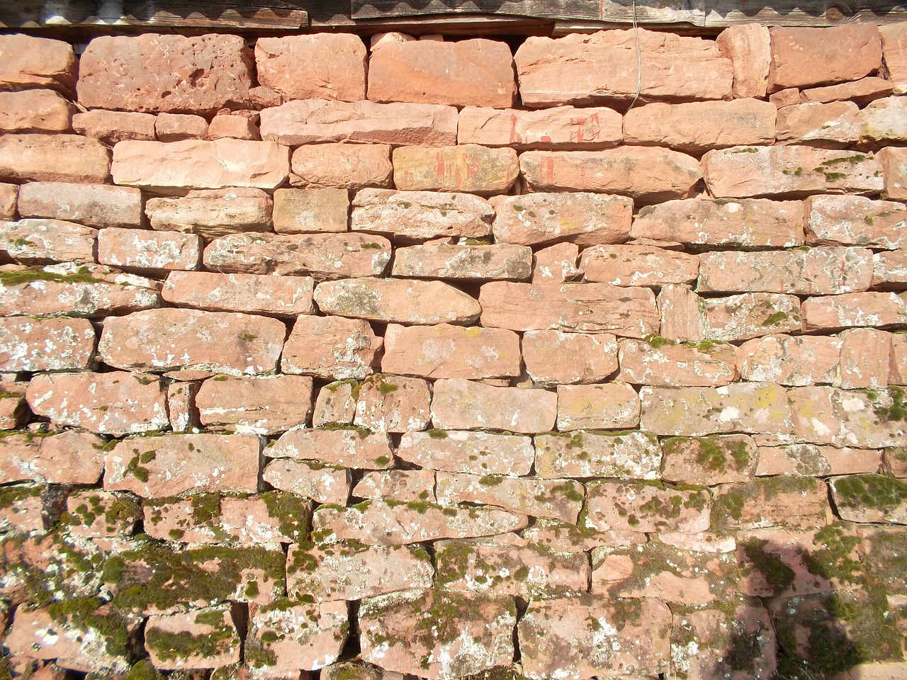 wall nature stone free photo