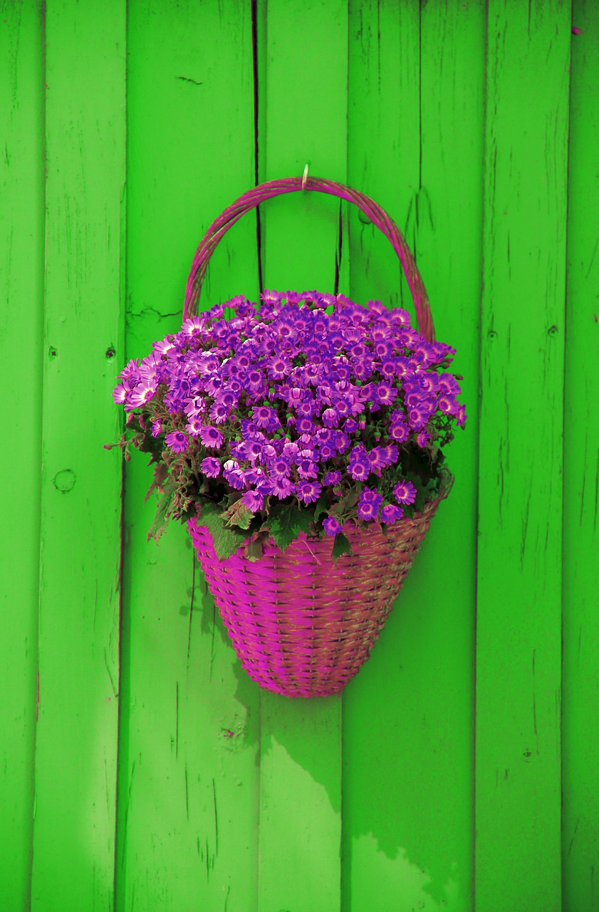 wall basket flowers free photo