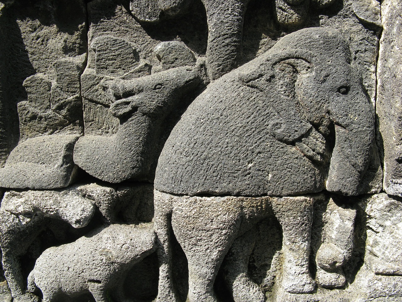 wall elephant art free photo