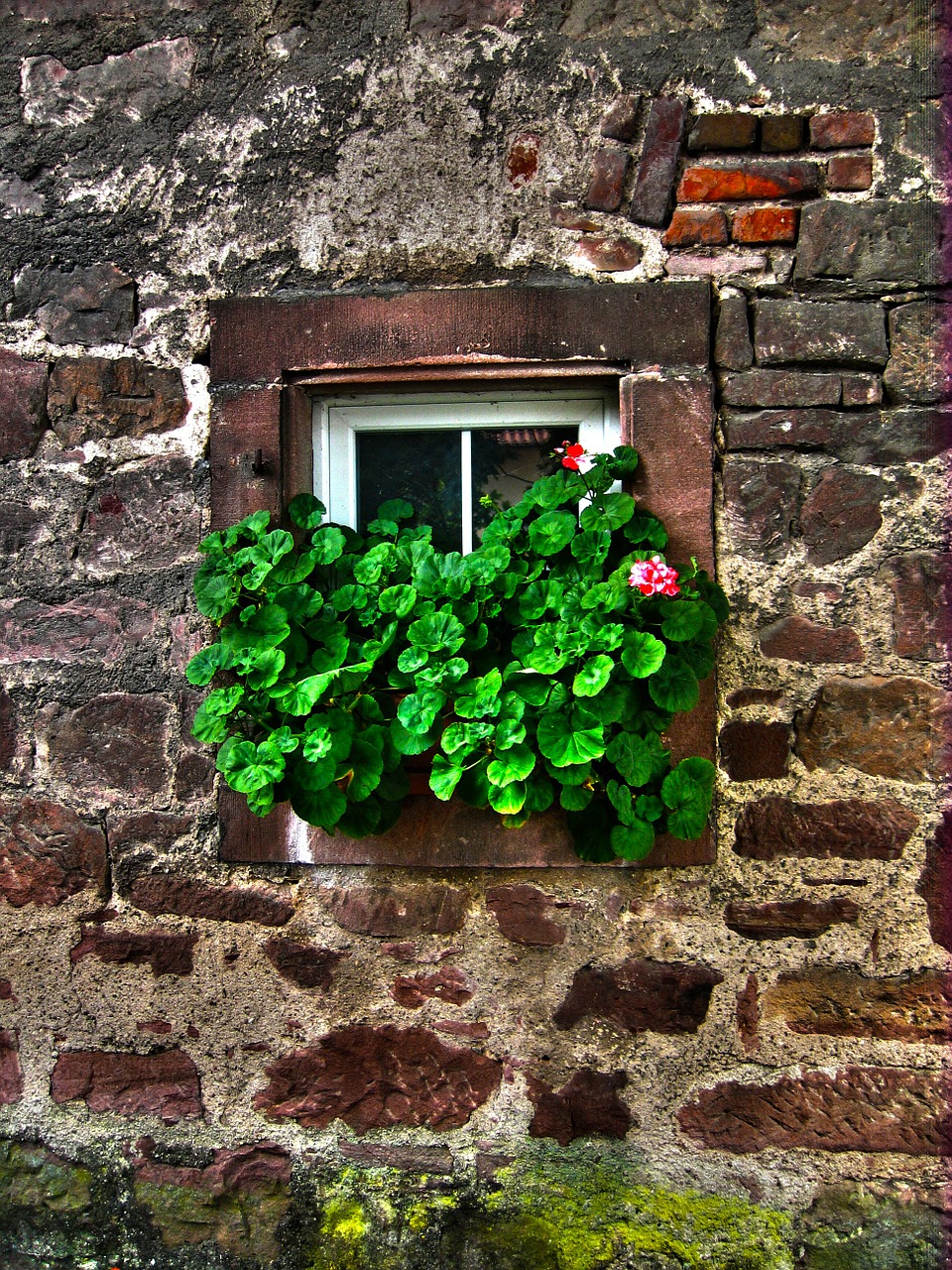 wall stone window free photo