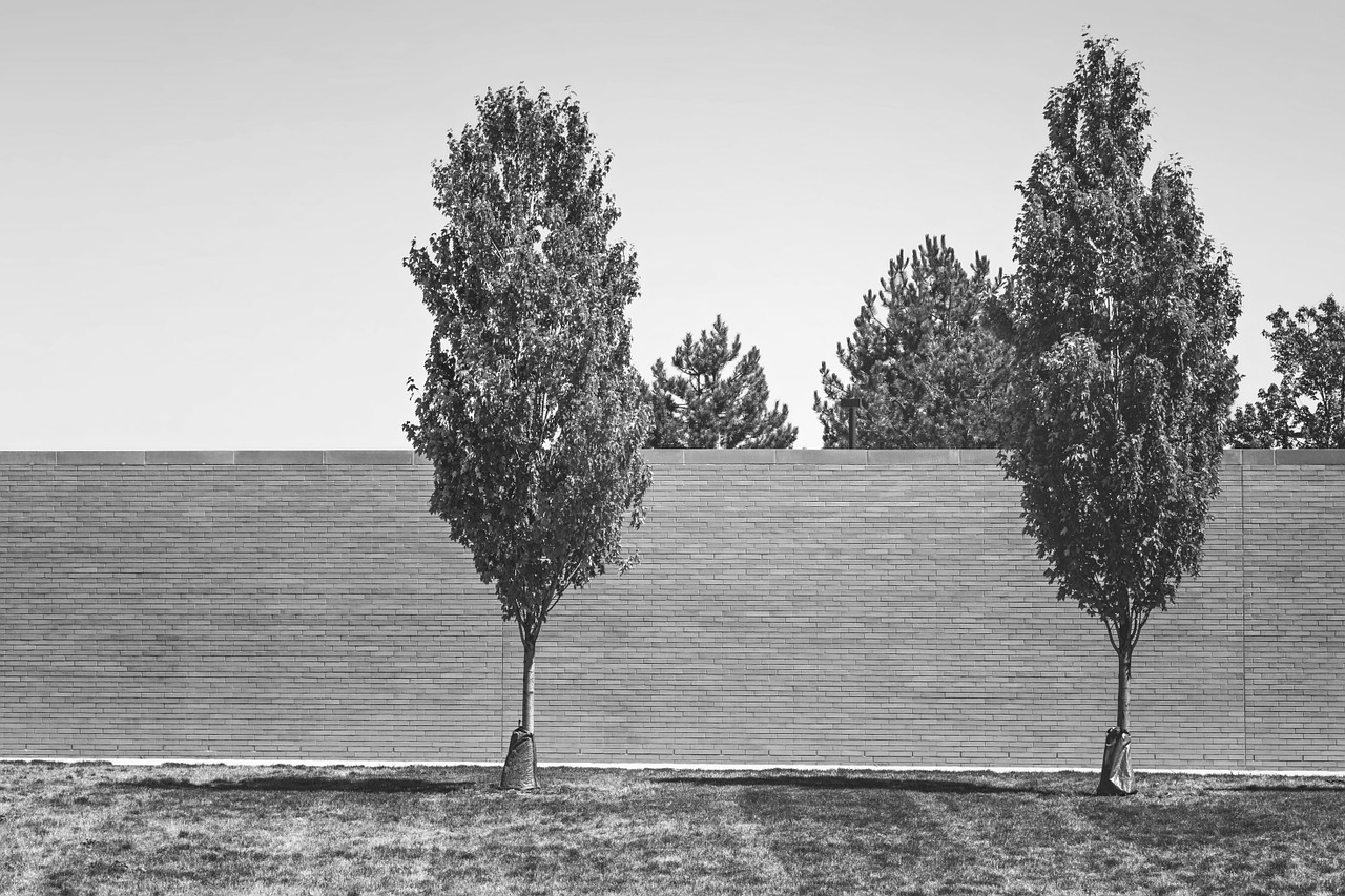 wall nature fence free photo