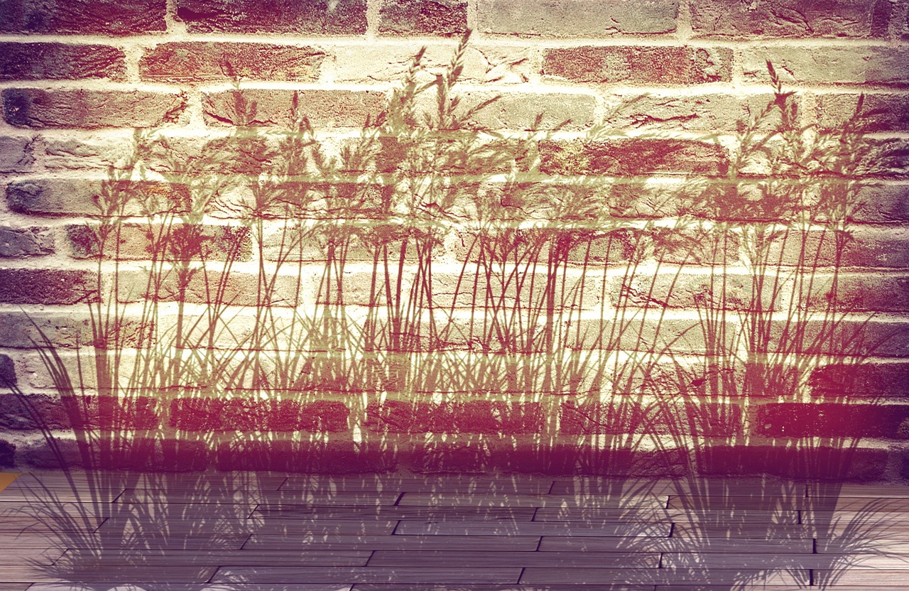 wall grass silhouette free photo