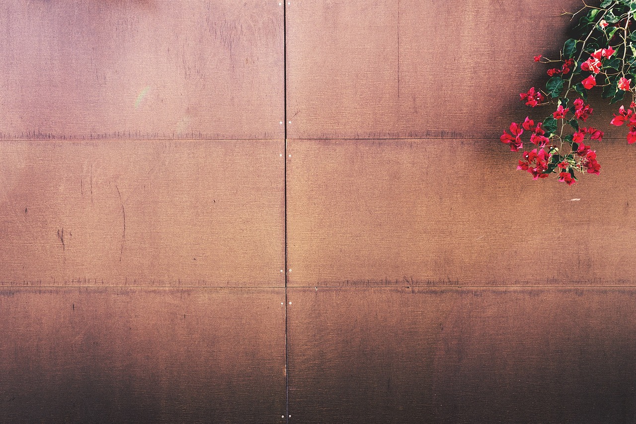 wall wooden boards free photo