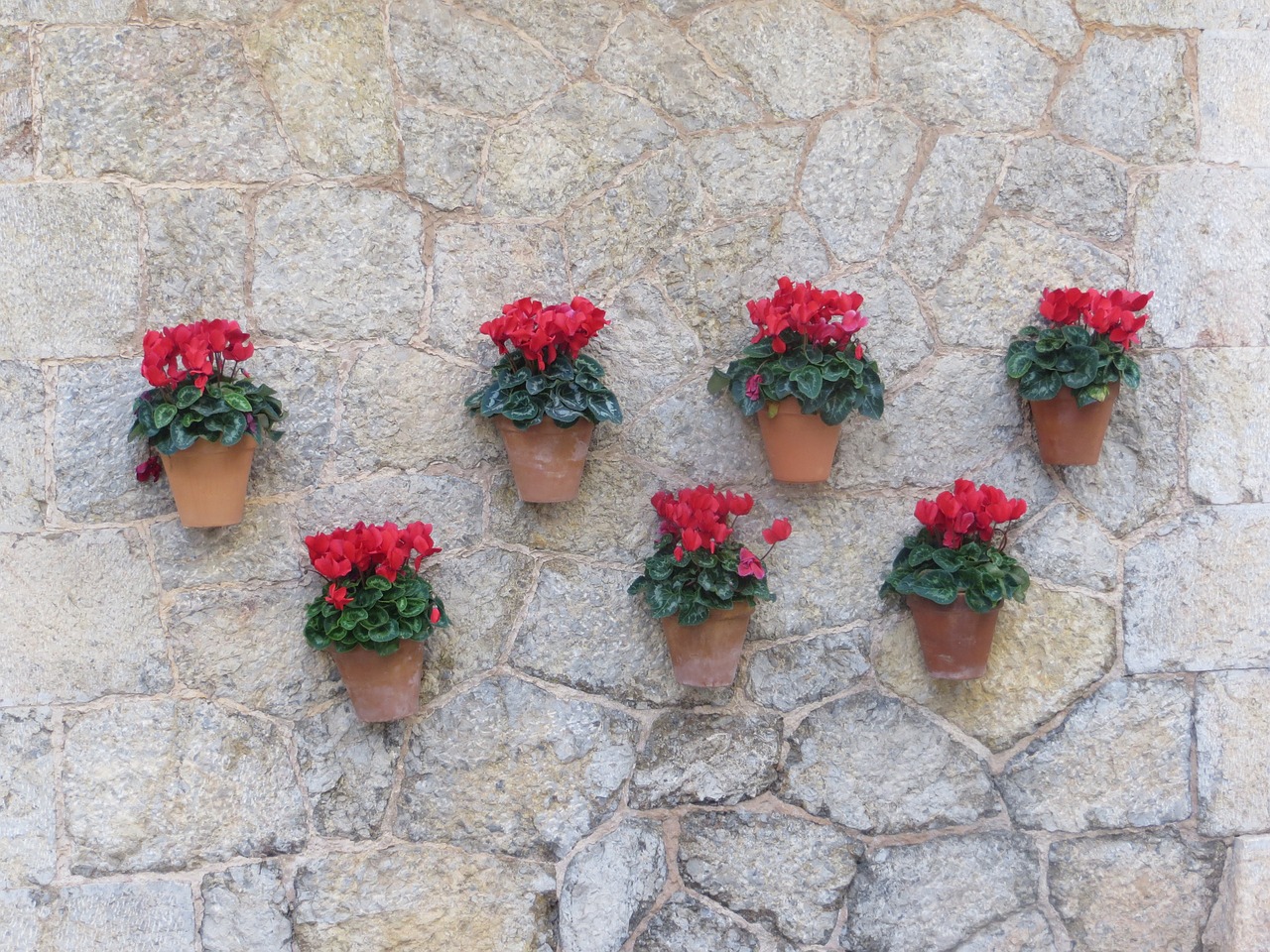 wall decoration flower pots free photo