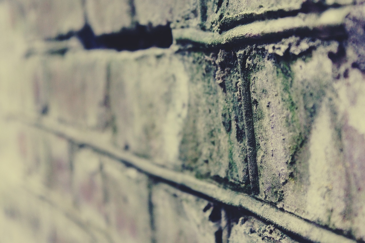 wall brick stones free photo
